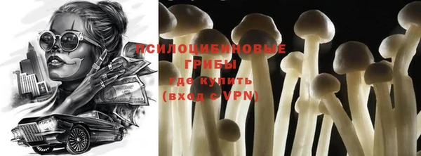 винт Новокубанск