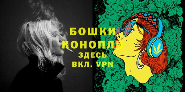 сатива Нягань