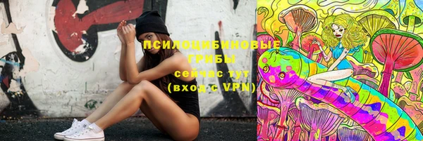 мдпв Нея