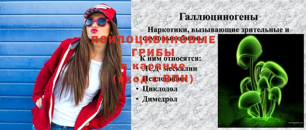 дживик Жердевка