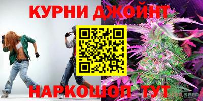 скорость Дубна