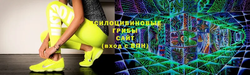 Галлюциногенные грибы Magic Shrooms Кимры