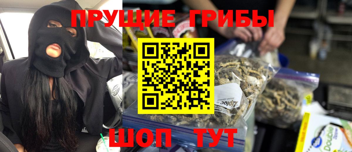 Кимры  Псилоцибиновые грибы Psilocybe  Псилоцибиновые грибы прущие грибы  Вход с VPN 